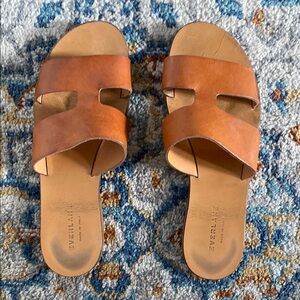 Everlane “The Bridge” brown sandals, Size 9